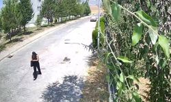 Eskişehir'de dolandırıcıların planını 8 yaşındaki torun bozmuştu: Şüpheli yakalandı!