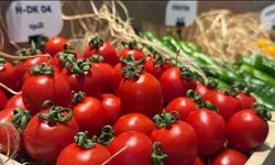 Eskişehir’de domates tarladan markete gelene kadar kaç lira artıyor? Üretici ve vatandaşın hesabı