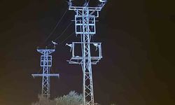 Leylekler kondu, elektrikler gitti! Afyon’da ilginç kesinti