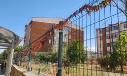 Eylül yaklaşırken biberler kışlık hazırlık için kurutuluyor