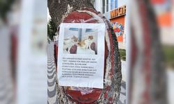 Eskişehir’de kayıp kedisini bulmak için ağaca ilan astı