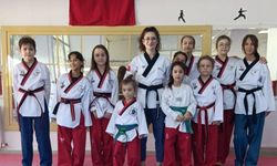 Poomsae dersleri yüksek tempoda sürüyor
