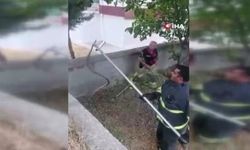 Afyon'da ev bahçesinde yılan paniği!