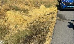 Bilecik’te atılan sigara izmariti yangın çıkardı