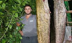 Bilecik’te oltaya takıldı! 1 metre 70 santimetrelik dev balık