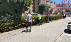 Büyükşehir ekiplerinden ağaçlara bakım mesaisi!
