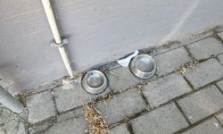 Eskişehir'de sokak hayvanları için örnek dayanışma