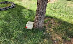 Eskişehir’de sokak hayvanları için örnek duyarlılık!