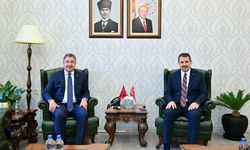 Millî Savunma Bakan Yardımcısı Ayhan, Vali Yılmaz'a ziyaret