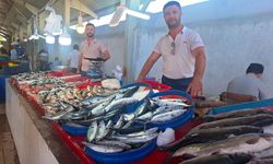 Kütahya'da balık sezonu başladı: Fiyatıyla izdiham yaratıyor!