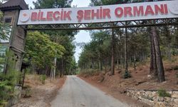 Bilecik'te vatandaşların uğrak noktası köstebek yuvasına döndü