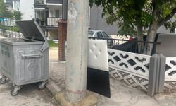 Eskişehir’de çöp konteynerinin yanında değişmeyen manzara!