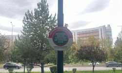 Eskişehir'de köpek sahiplerine uyarı: Parktaki uyarı tabela dikkat çekti!
