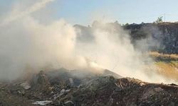 Bilecik’te alevler çöplük alanını sardı