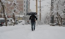 Eskişehir’de kış gelmeden bunu yaptırın: Uzmanı uyardı!