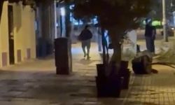 Eskişehir'de gece yarısı saksıları tek tek devirdi