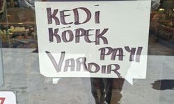 Eskişehir’de kasaptan sokak hayvanları için örnek uygulama