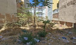 Eskişehir’de binaların arasındaki boş arsa çöplüğe döndü