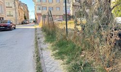 Eskişehir’de otlarla kaplanan kaldırımlar tepki çekiyor