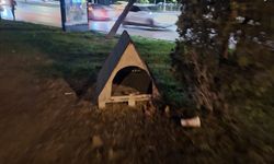 Eskişehir’de sokak kedileri için örnek davranış