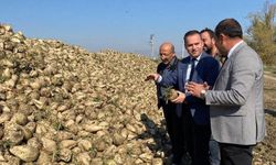 Eskişehir’de tarlaya indi: Kaymakam çiftçilerle hasada katıldı