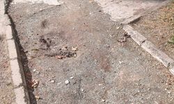Bilecik’teki parkın görüntüsü dikkat çekti!