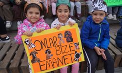 Bilecik’te minik öğrenciler can dostlarıyla buluştu
