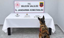 Narkotik köpeği iz sürdü, zehri buldu!