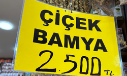 Eskişehir'de kuru bamya fiyatı cep yakıyor