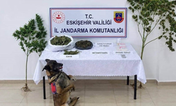 Eskişehir’de zehir operasyonu! Ele geçirilenler dikkat çekti