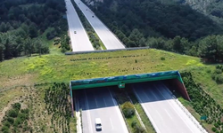Eskişehir hızlı tren güzergâhında yeni hazırlık! Bir köprü daha gündemde