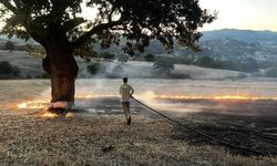 Hisarcık’ta anız yangını: 1 hektar alan zarar gördü