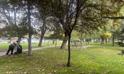Eskişehir parklarında sonbahar temizliği