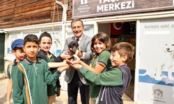 Tepebaşı’nda binlerce can dost yeni yuvalarına kavuştu