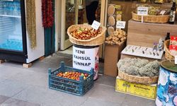 Eskişehir’de sonbaharın gözde meyvesi satışa çıktı