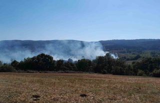 Bilecik'te yangın çıktı: 40 dönümlük arazi zarar gördü