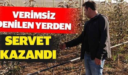Taşlı tarladan servet kazandı