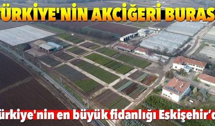 Türkiye'nin akciğeri burası