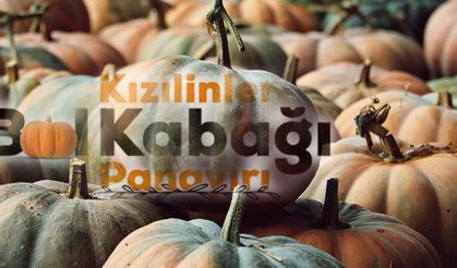 Bal Kabağı Panayırı yarın nerede, ücretsiz ulaşım nasıl sağlanacak?