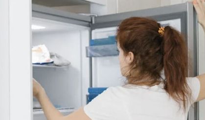 Sıcaklıklar arttı gıda zehirlenmesine dikkat: Buzdolabına koyup unutmayın!