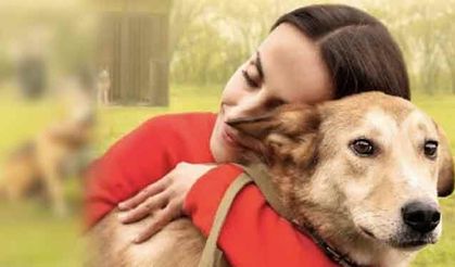 Eskişehir'de köpek sahiplerine uyarı: Parktaki uyarı tabela dikkat çekti!