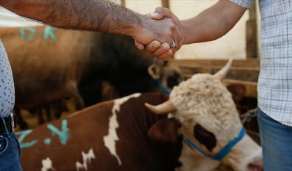 Kurban Bayramı öncesi pazar canlanıyor: Fiyatlar açıklandı