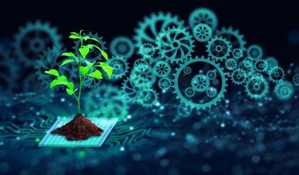 Üniversitelerden dijital teknolojiyle tarımda sürdürülebilir çözümler