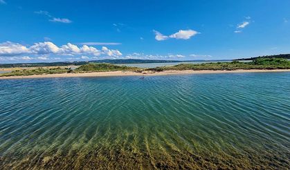 Türkiye’de 5 yeni alan mahalli sulak alan kapsamına alındı