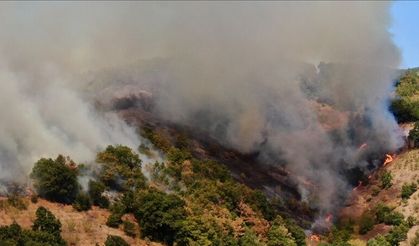 Uzmanlardan uyarı: Yangınlarda önleme ve erken tespit öncelikli olmalı