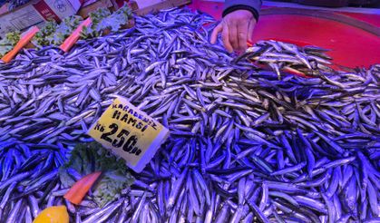 Eskişehir tezgahlarında favori besinine yoğun ilgi!