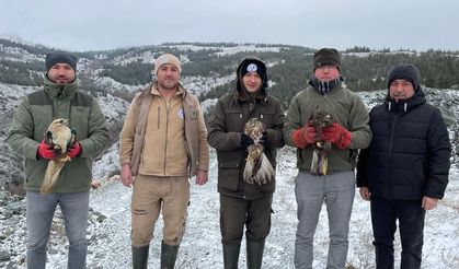 Eskişehir Hayvanat Bahçesi yaralı kuşları doğaya saldı