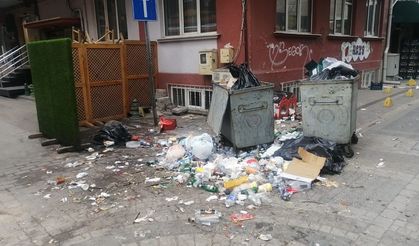 Uyarı var, uyan yok: Eskişehir'de sokaklar çöplüğe döndü
