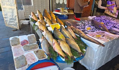 Dev sazanlar tezgahları süsledi