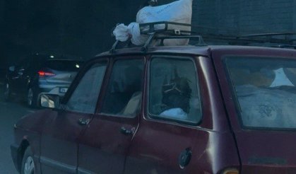 Eskişehir trafiğinde taşınan canlı görenleri şoke etti!